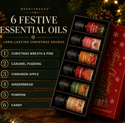 𝐌𝐞𝐫𝐫𝐲𝐓𝐫𝐚𝐜𝐤𝐬™ – 𝐂𝐡𝐫𝐢𝐬𝐭𝐦𝐚𝐬 𝐓𝐫𝐚𝐢𝐧 𝐃𝐢𝐟𝐟𝐮𝐬𝐞𝐫